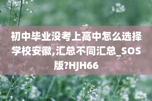 初中毕业没考上高中怎么选择学校安徽,汇总不同汇总_SOS版?HJH66