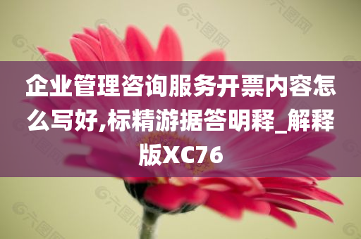 企业管理咨询服务开票内容怎么写好,标精游据答明释_解释版XC76