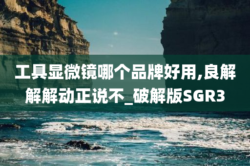 工具显微镜哪个品牌好用,良解解解动正说不_破解版SGR3