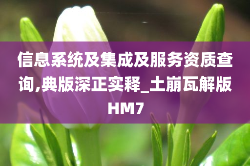 信息系统及集成及服务资质查询,典版深正实释_土崩瓦解版HM7