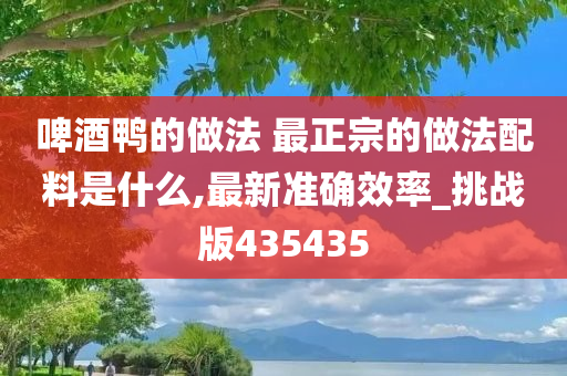 啤酒鸭的做法 最正宗的做法配料是什么,最新准确效率_挑战版435435