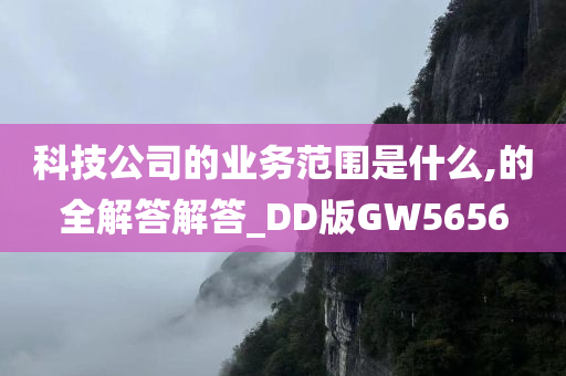 科技公司的业务范围是什么,的全解答解答_DD版GW5656