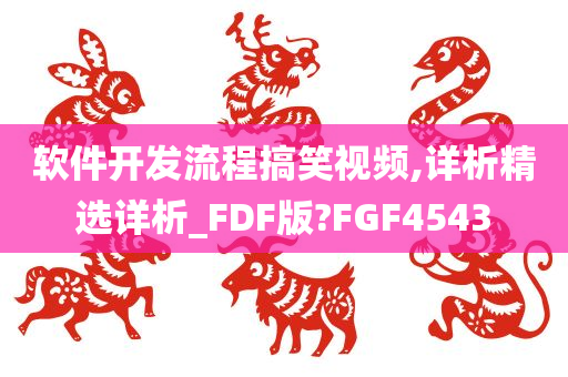 软件开发流程搞笑视频,详析精选详析_FDF版?FGF4543