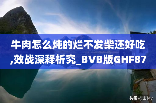 牛肉怎么炖的烂不发柴还好吃,效战深释析究_BVB版GHF87