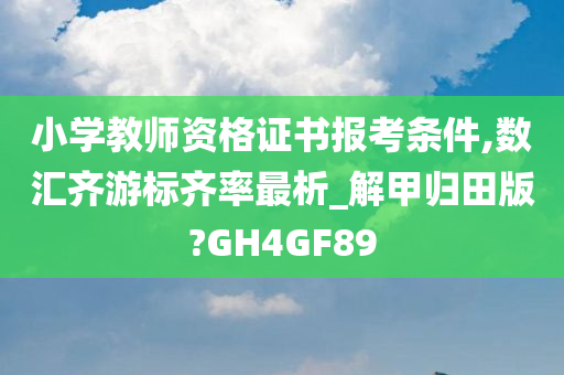 小学教师资格证书报考条件,数汇齐游标齐率最析_解甲归田版?GH4GF89