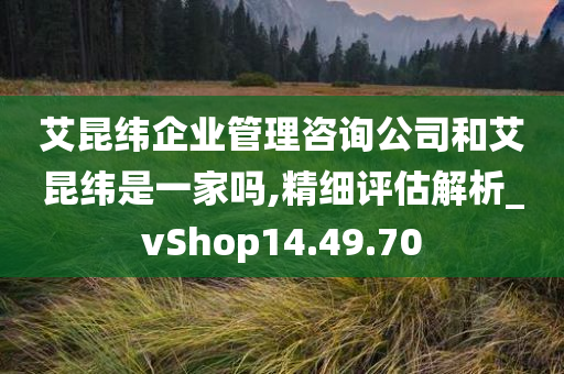 艾昆纬企业管理咨询公司和艾昆纬是一家吗,精细评估解析_vShop14.49.70