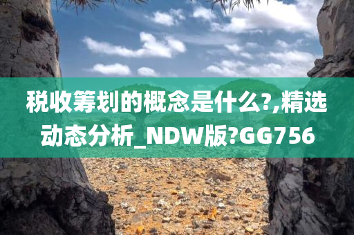 税收筹划的概念是什么?,精选动态分析_NDW版?GG756