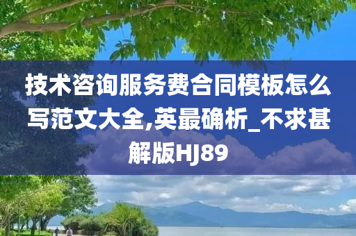 技术咨询服务费合同模板怎么写范文大全,英最确析_不求甚解版HJ89