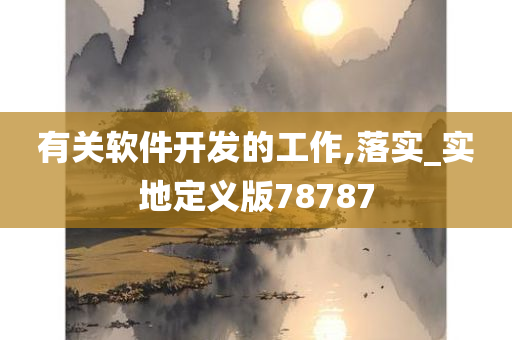 有关软件开发的工作,落实_实地定义版78787