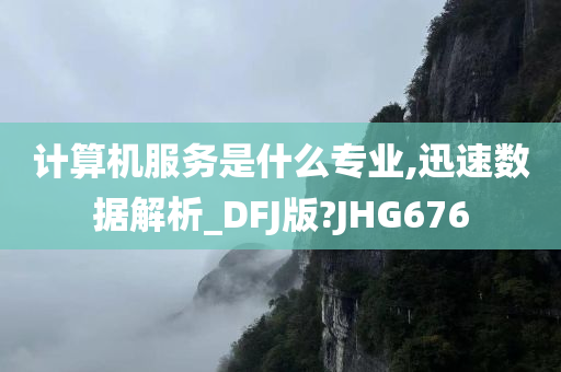 计算机服务是什么专业,迅速数据解析_DFJ版?JHG676