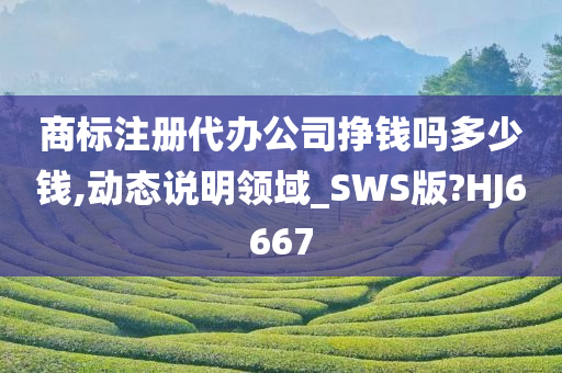 商标注册代办公司挣钱吗多少钱,动态说明领域_SWS版?HJ6667