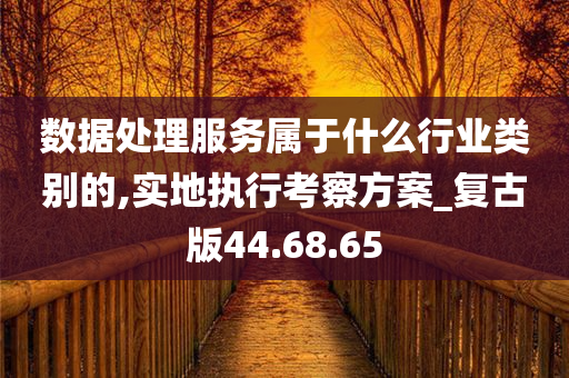 数据处理服务属于什么行业类别的,实地执行考察方案_复古版44.68.65