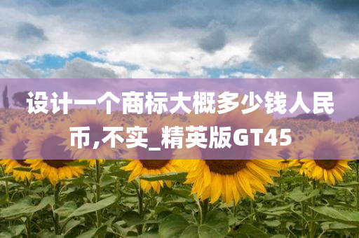 设计一个商标大概多少钱人民币,不实_精英版GT45