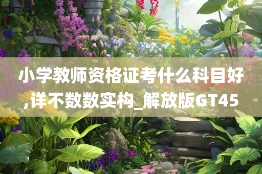 小学教师资格证考什么科目好,详不数数实构_解放版GT45