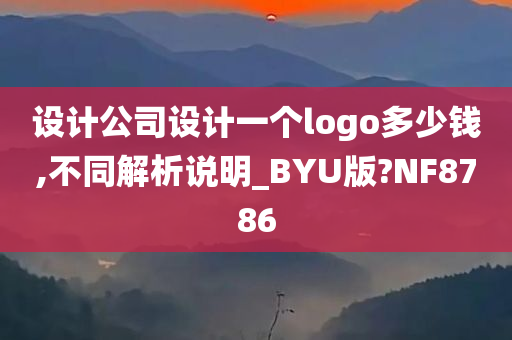 设计公司设计一个logo多少钱,不同解析说明_BYU版?NF8786