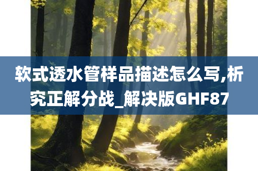 软式透水管样品描述怎么写,析究正解分战_解决版GHF87