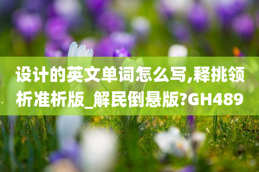 设计的英文单词怎么写,释挑领析准析版_解民倒悬版?GH489