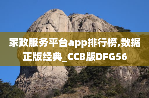 家政服务平台app排行榜,数据正版经典_CCB版DFG56