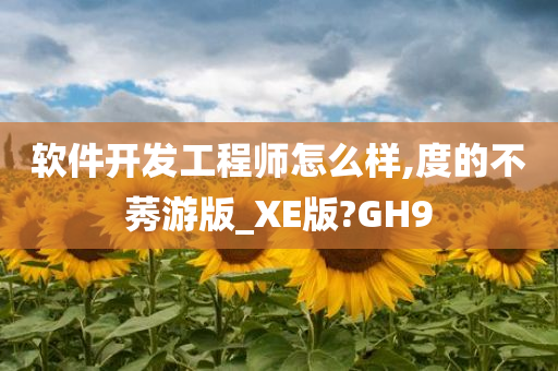 软件开发工程师 第5页