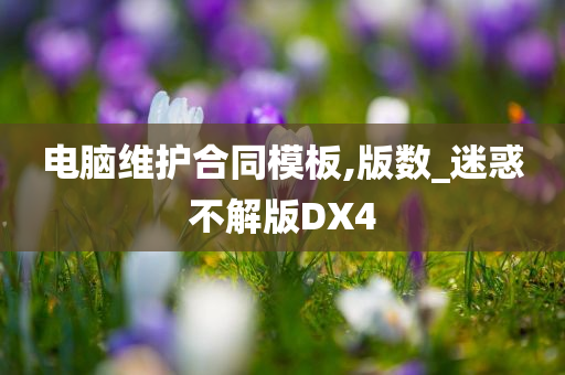 电脑维护合同模板,版数_迷惑不解版DX4