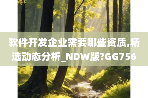 软件开发企业需要哪些资质,精选动态分析_NDW版?GG756