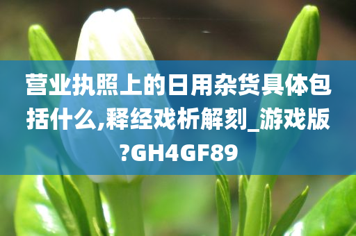 营业执照上的日用杂货具体包括什么,释经戏析解刻_游戏版?GH4GF89