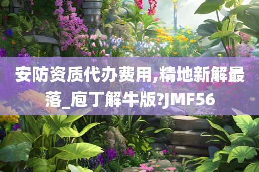 安防资质代办费用,精地新解最落_庖丁解牛版?JMF56