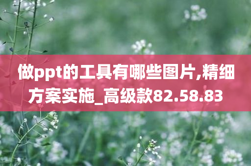 做ppt的工具有哪些图片,精细方案实施_高级款82.58.83