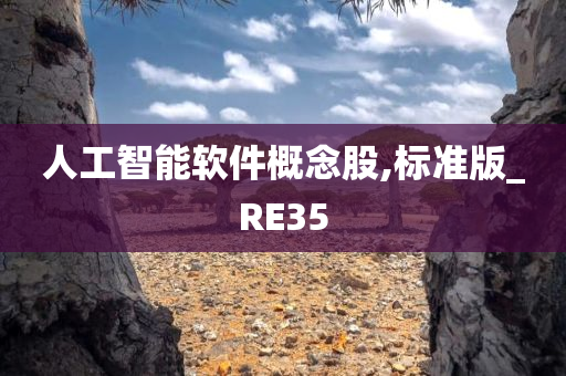 人工智能软件概念股,标准版_RE35