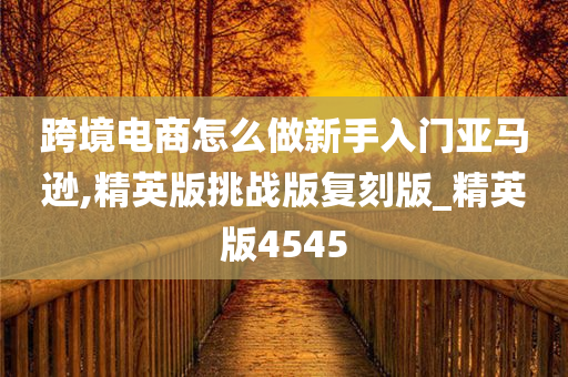 跨境电商怎么做新手入门亚马逊,精英版挑战版复刻版_精英版4545