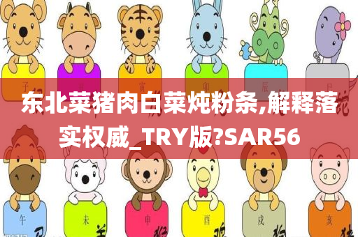 东北菜猪肉白菜炖粉条,解释落实权威_TRY版?SAR56