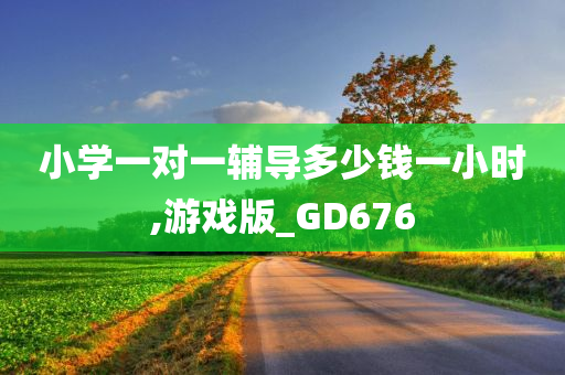 小学一对一辅导多少钱一小时,游戏版_GD676