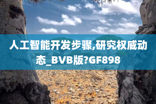 人工智能开发步骤,研究权威动态_BVB版?GF898