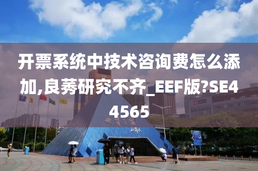 开票系统中技术咨询费怎么添加,良莠研究不齐_EEF版?SE44565