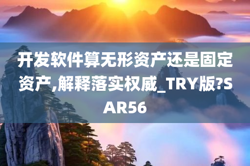 开发软件算无形资产还是固定资产,解释落实权威_TRY版?SAR56