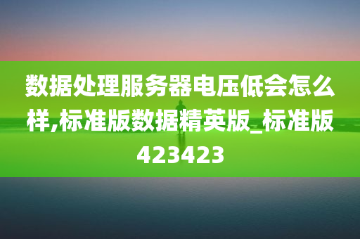 数据处理服务器电压低会怎么样,标准版数据精英版_标准版423423