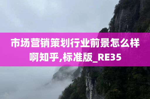 市场营销策划行业前景怎么样啊知乎,标准版_RE35