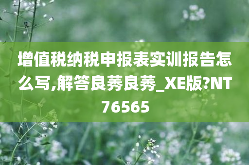 增值税纳税申报表实训报告怎么写,解答良莠良莠_XE版?NT76565