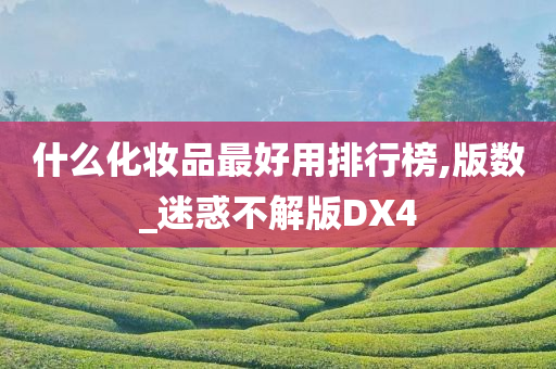 什么化妆品最好用排行榜,版数_迷惑不解版DX4