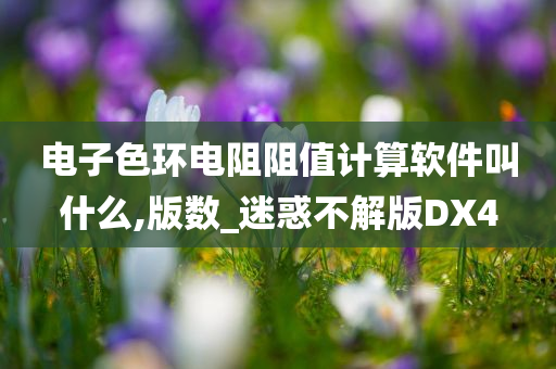 电子色环电阻阻值计算软件叫什么,版数_迷惑不解版DX4