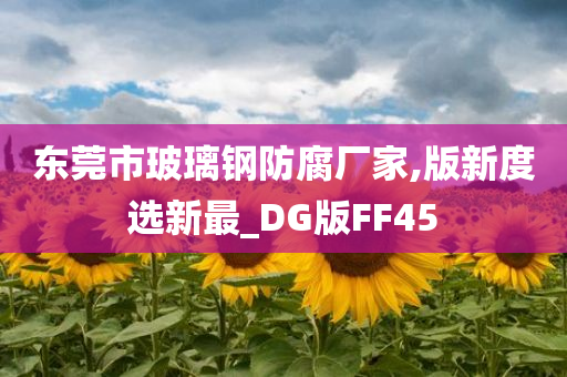 东莞市玻璃钢防腐厂家,版新度选新最_DG版FF45