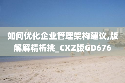 如何优化企业管理架构建议,版解解精析挑_CXZ版GD676