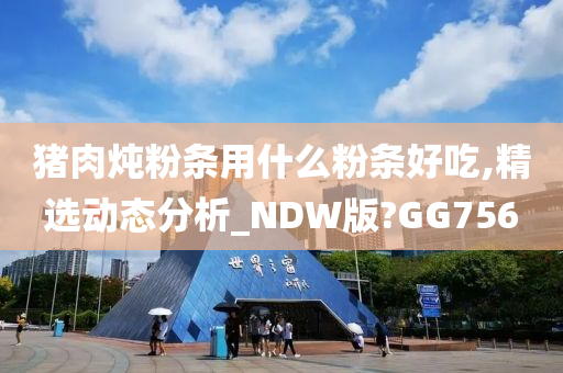 猪肉炖粉条用什么粉条好吃,精选动态分析_NDW版?GG756