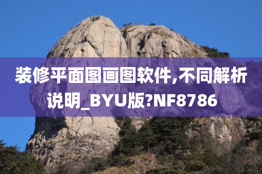 装修平面图画图软件,不同解析说明_BYU版?NF8786