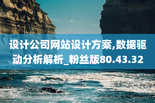 设计公司网站设计方案,数据驱动分析解析_粉丝版80.43.32