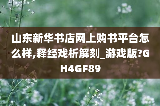 山东新华书店网上购书平台怎么样,释经戏析解刻_游戏版?GH4GF89