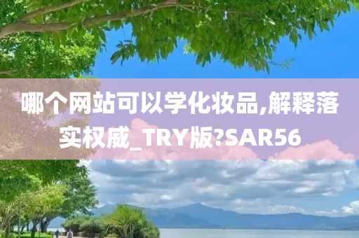 哪个网站可以学化妆品,解释落实权威_TRY版?SAR56