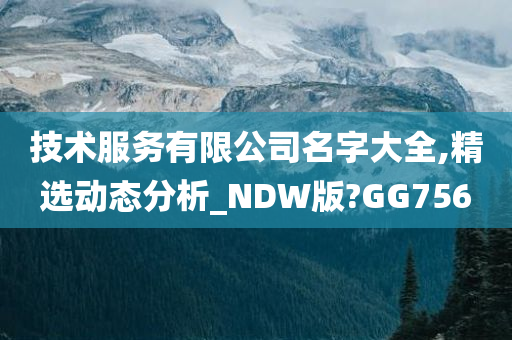 技术服务有限公司名字大全,精选动态分析_NDW版?GG756