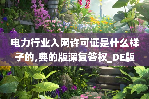 电力行业入网许可证是什么样子的,典的版深复答权_DE版