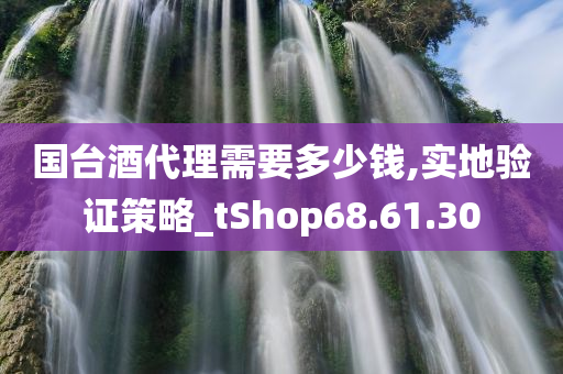 国台酒代理需要多少钱,实地验证策略_tShop68.61.30